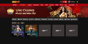 Bầu Cua Xo88 - Đặt Cược Cuốn Hút Rinh Lộc Khủng Về Nhà 8 Bầu Cua Xo88