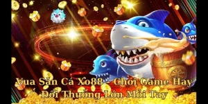 Vua Săn Cá Xo88 - Đắm Mình Cùng Không Gian Đẳng Cấp 4 vua săn cá Xo88
